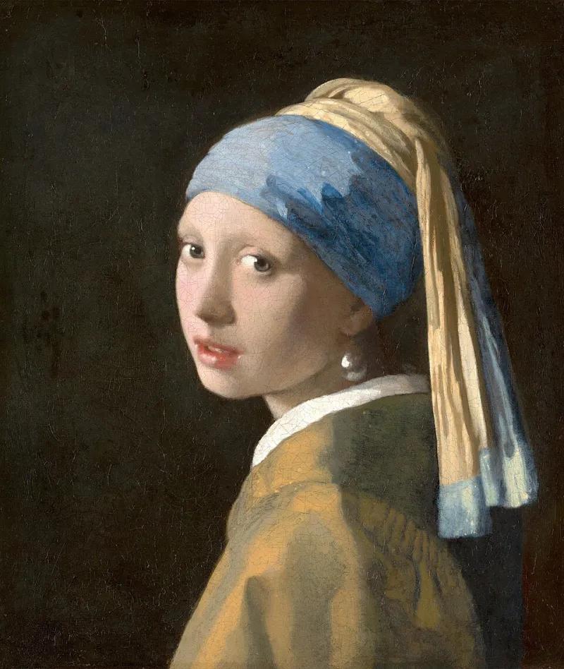 Johannes Vermeer Girl with a Pearl Earring saved in Museum Log